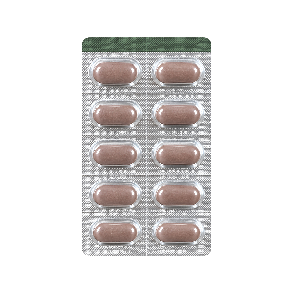 셀로맥스 위대한 2