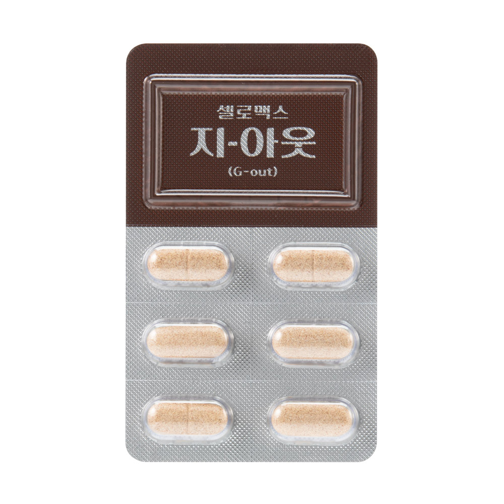 지-아웃(G-out) 3